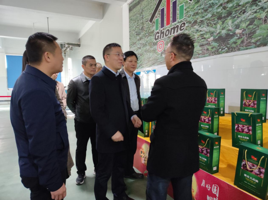 市委常委、組織部部長(zhǎng)、統(tǒng)戰(zhàn)部部長(zhǎng)龔紅果蒞臨天香生物調(diào)研