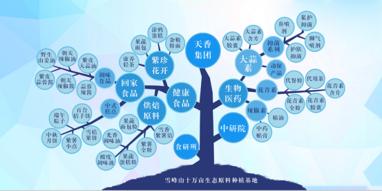 市委常委、組織部部長(zhǎng)、統(tǒng)戰(zhàn)部部長(zhǎng)龔紅果蒞臨天香生物調(diào)研