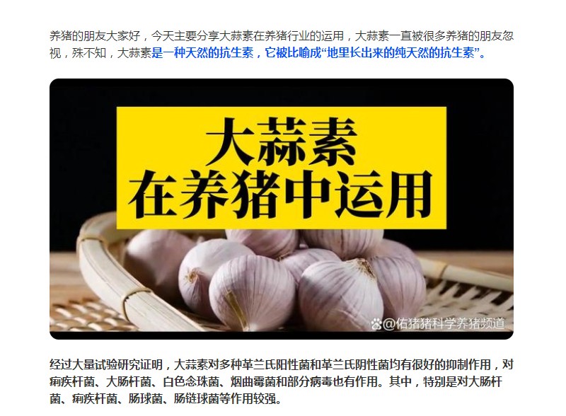大蒜素在養(yǎng)豬行業(yè)的運用，您了解多少？