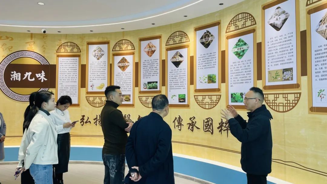 種下梧桐樹，引得鳳凰來